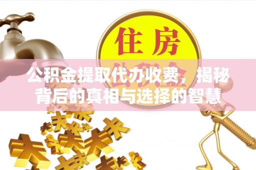 南郊公积金提取代办收费，揭秘背后的真相与选择的智慧