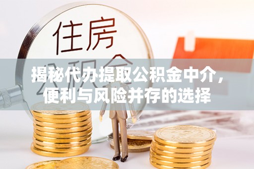 南郊揭秘代办提取公积金中介，便利与风险并存的选择