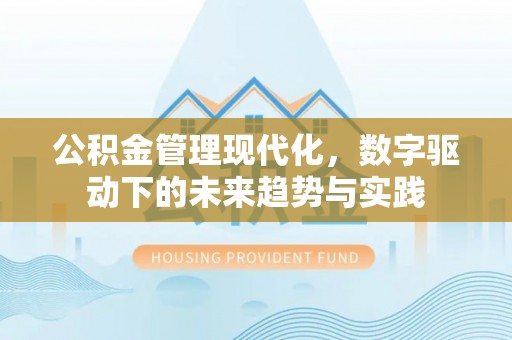 南郊公积金管理现代化，数字驱动下的未来趋势与实践
