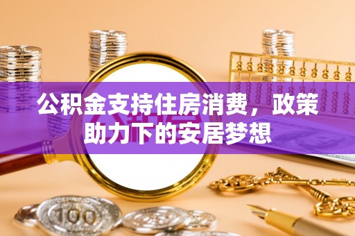 南郊公积金支持住房消费，政策助力下的安居梦想