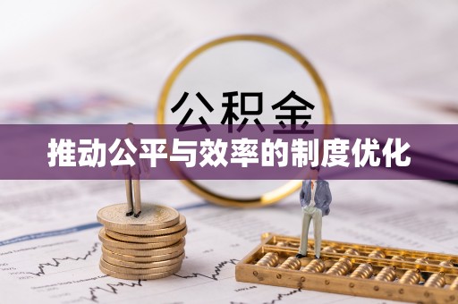 南郊推动公平与效率的制度优化