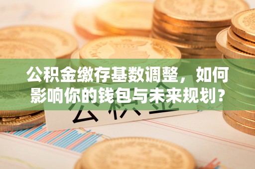 南郊公积金缴存基数调整，如何影响你的钱包与未来规划？
