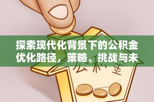 南郊探索现代化背景下的公积金优化路径，策略、挑战与未来展望