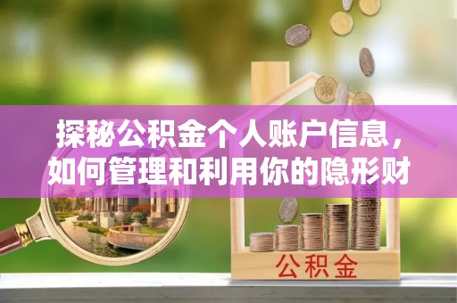 南郊探秘公积金个人账户信息，如何管理和利用你的隐形财富