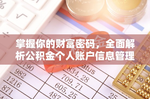 南郊掌握你的财富密码，全面解析公积金个人账户信息管理与优化