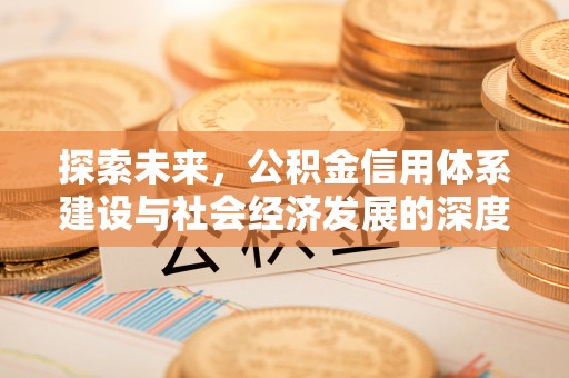 南郊探索未来，公积金信用体系建设与社会经济发展的深度融合