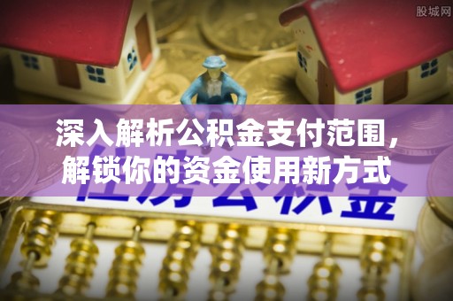 南郊深入解析公积金支付范围，解锁你的资金使用新方式