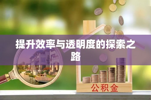 南郊提升效率与透明度的探索之路