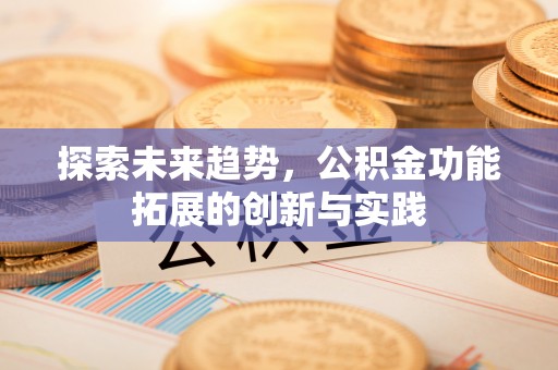 南郊探索未来趋势，公积金功能拓展的创新与实践