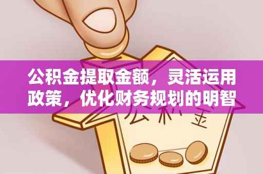 南郊公积金提取金额，灵活运用政策，优化财务规划的明智选择