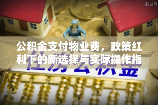 南郊公积金支付物业费，政策红利下的新选择与实际操作指南