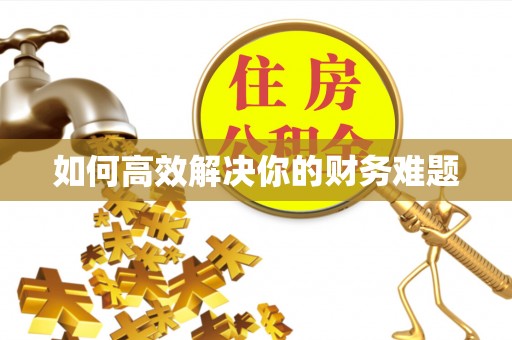 南郊如何高效解决你的财务难题