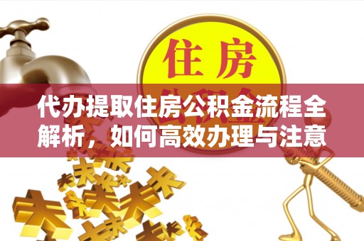 南郊代办提取住房公积金流程全解析，如何高效办理与注意事项