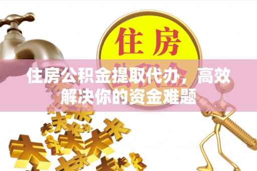 南郊住房公积金提取代办，高效解决你的资金难题