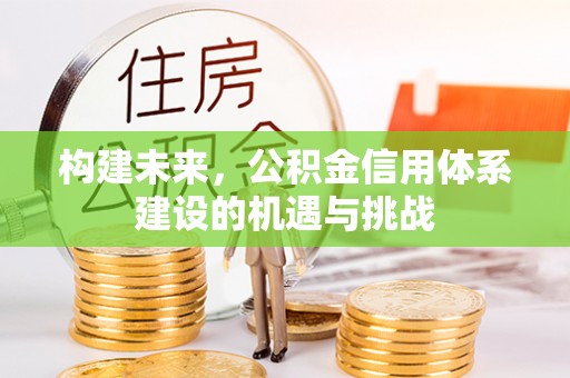 南郊构建未来，公积金信用体系建设的机遇与挑战