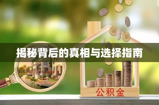 南郊揭秘背后的真相与选择指南