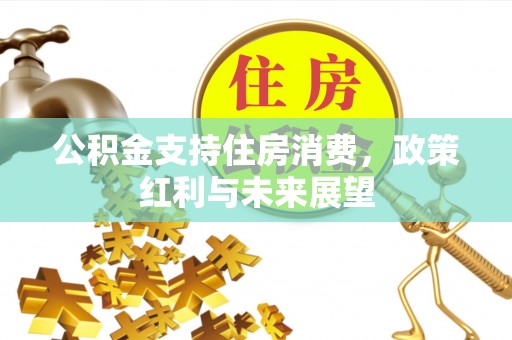 南郊公积金支持住房消费，政策红利与未来展望