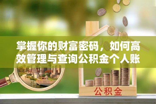 南郊掌握你的财富密码，如何高效管理与查询公积金个人账户信息