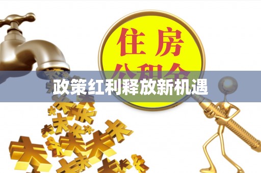 南郊政策红利释放新机遇