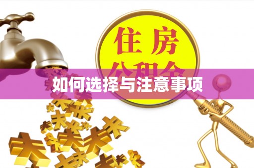南郊如何选择与注意事项