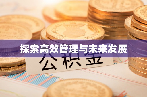 南郊探索高效管理与未来发展