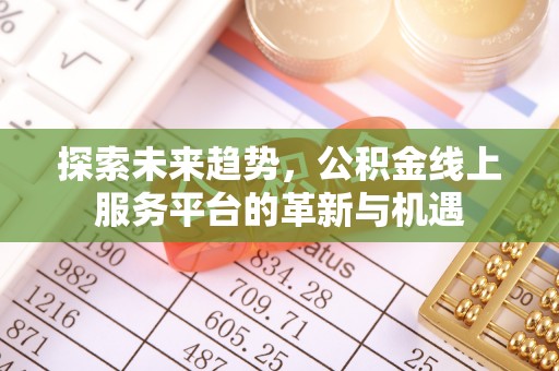南郊探索未来趋势，公积金线上服务平台的革新与机遇