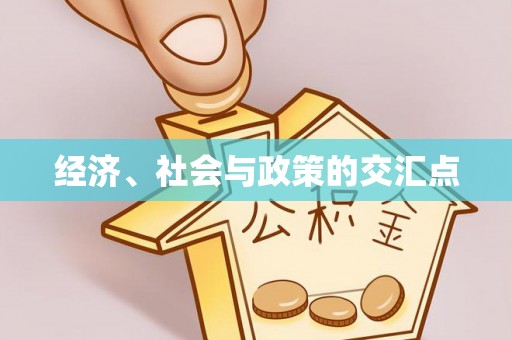 南郊经济、社会与政策的交汇点