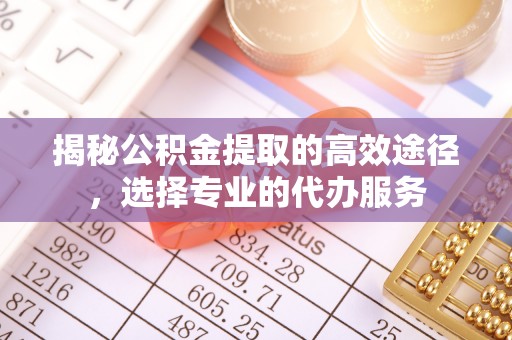 南郊揭秘公积金提取的高效途径，选择专业的代办服务