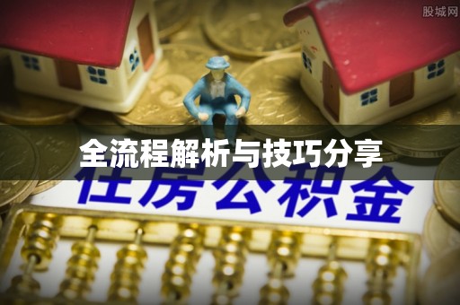 南郊全流程解析与技巧分享